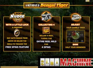 Bengal Tiger Slot machine