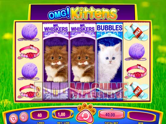 OMG! Kittens
